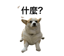 654768631