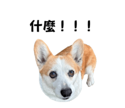 654768633