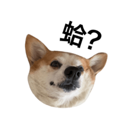 654768636
