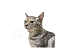 654776750
