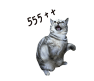654776761
