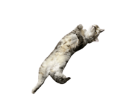 654776767