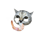 654776773