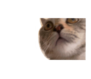 654776778