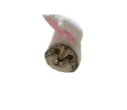 654776788
