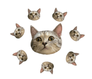 654776789