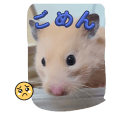 654784469