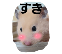 654784478