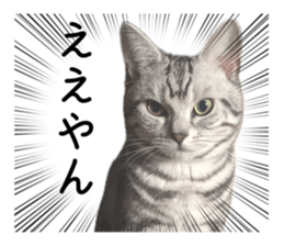 654785245