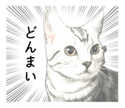 654785256