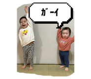 654833811