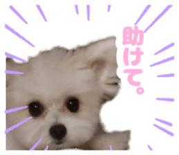 654845874