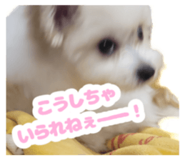 654845883