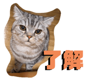 654857331