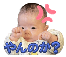 654858522
