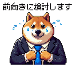 654894117