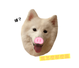 654896214