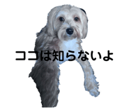 654896350