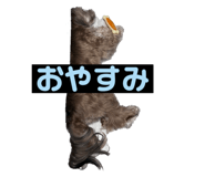 654896352