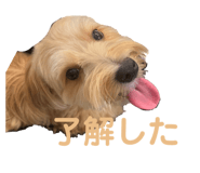 654896357