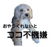 654896365