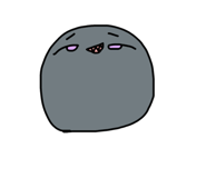 654904539