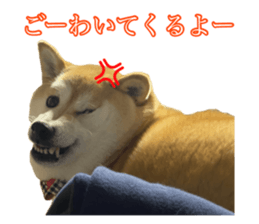 654905293