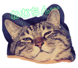 654905599