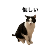 654909202