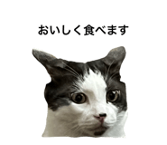 654909204
