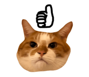 654909207