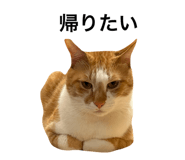 654909209