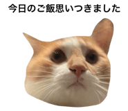 654909210
