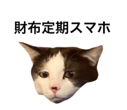 654909211