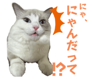 654915181