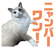 654915183