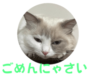 654915184