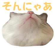 654915187