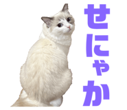 654915189