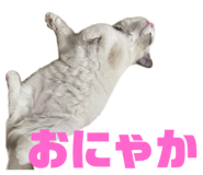 654915190