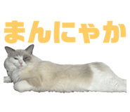 654915191