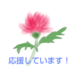 654915384