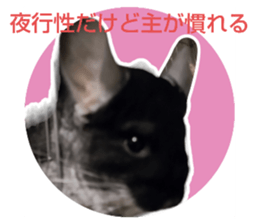 654922067