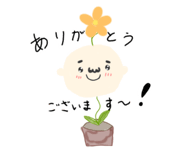 654922246