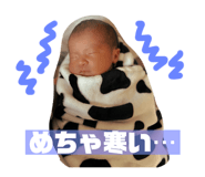 654941622