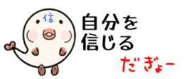 654952645