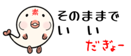 654952647