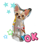 654965365