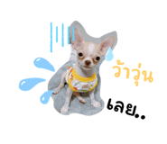 654965371
