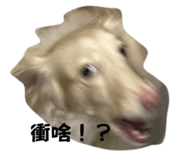 654976454